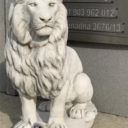 Lexus Lägenhet Veľký Meder