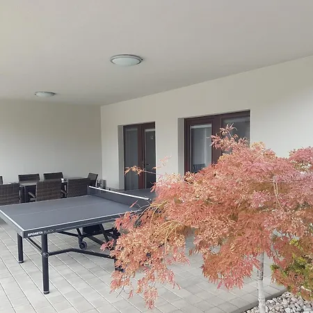 Lexus Apartment